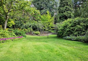 Optimiser l'expérience du jardin à Monthenault